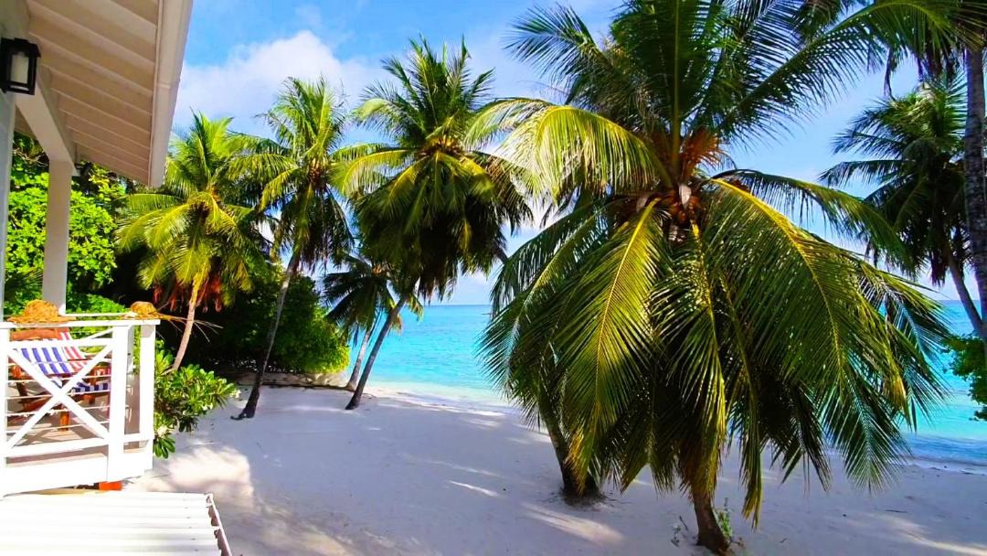 Photo of Others in Fulhadhoo