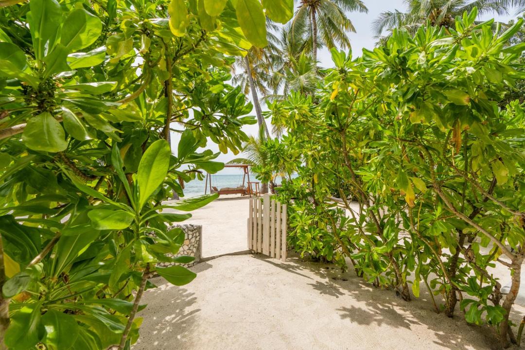 Photo of Others in Dhiffushi