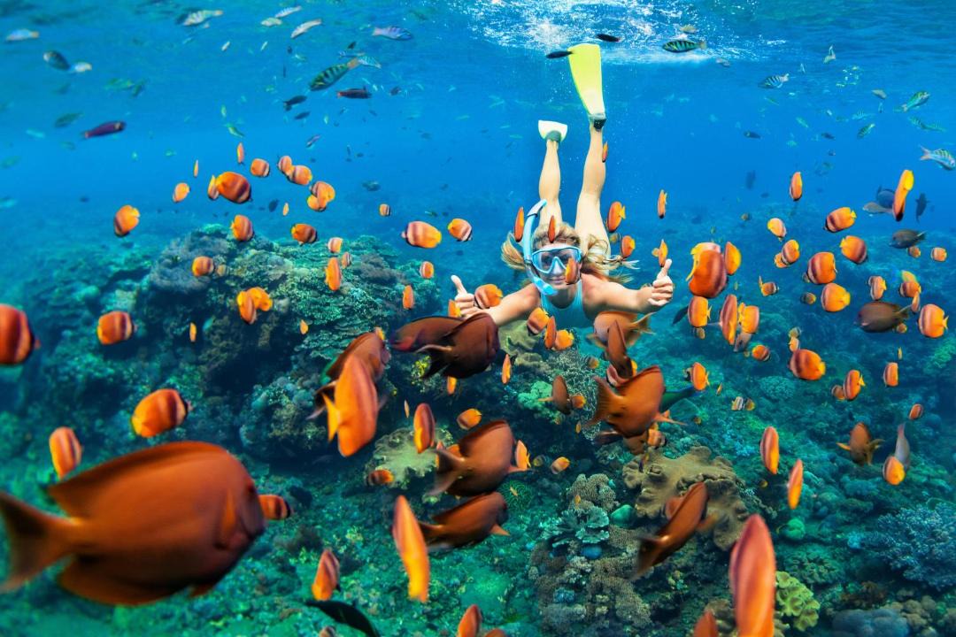 Photo of Others in Ukulhas