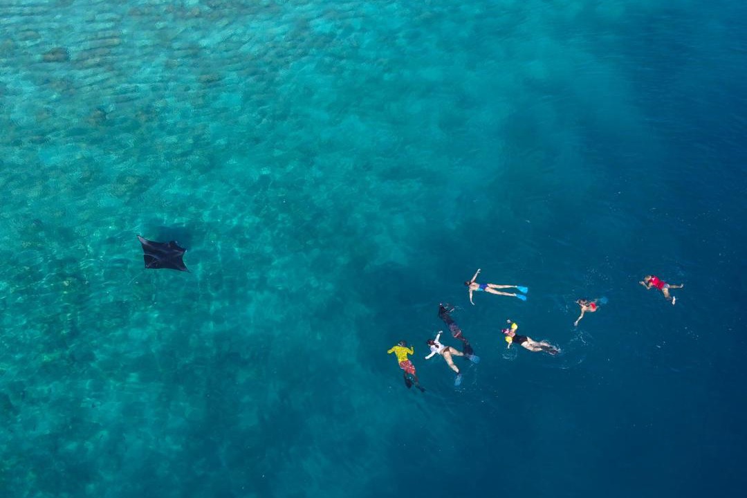 Photo of Others in Feridhoo