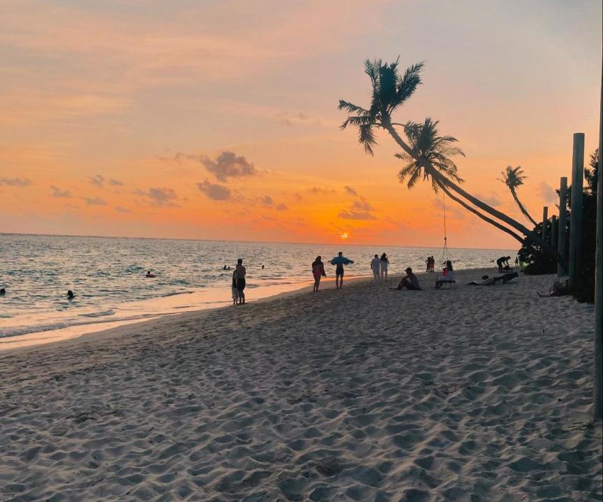Photo of Others in Thoddoo