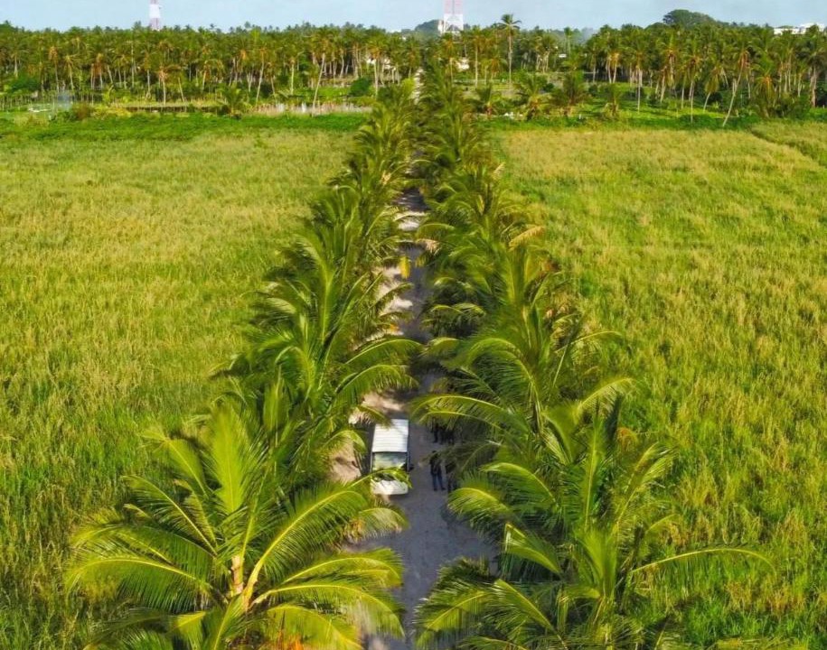 Photo of Others in Thoddoo