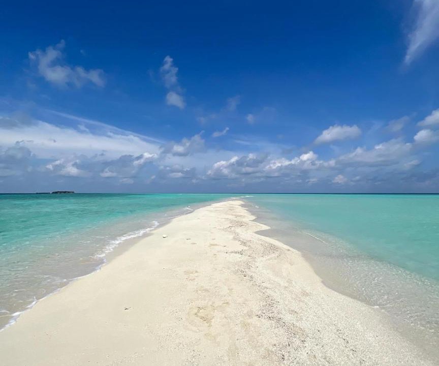 Photo of Others in Thoddoo