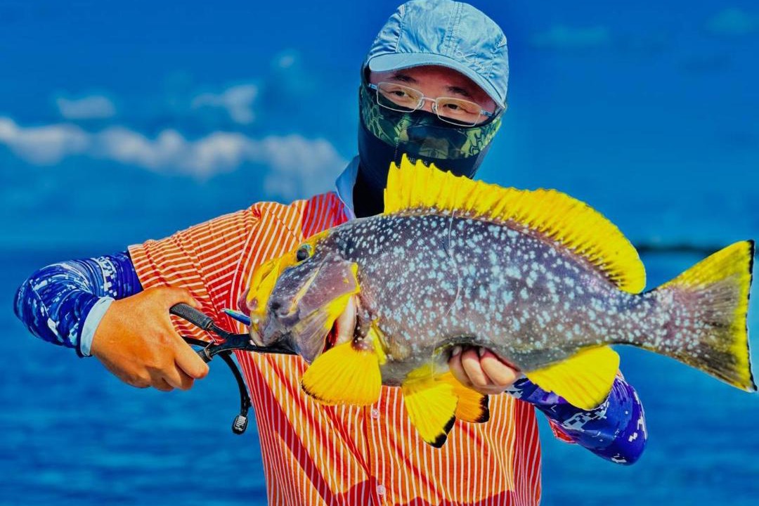 Photo of Others in Thaa Atoll