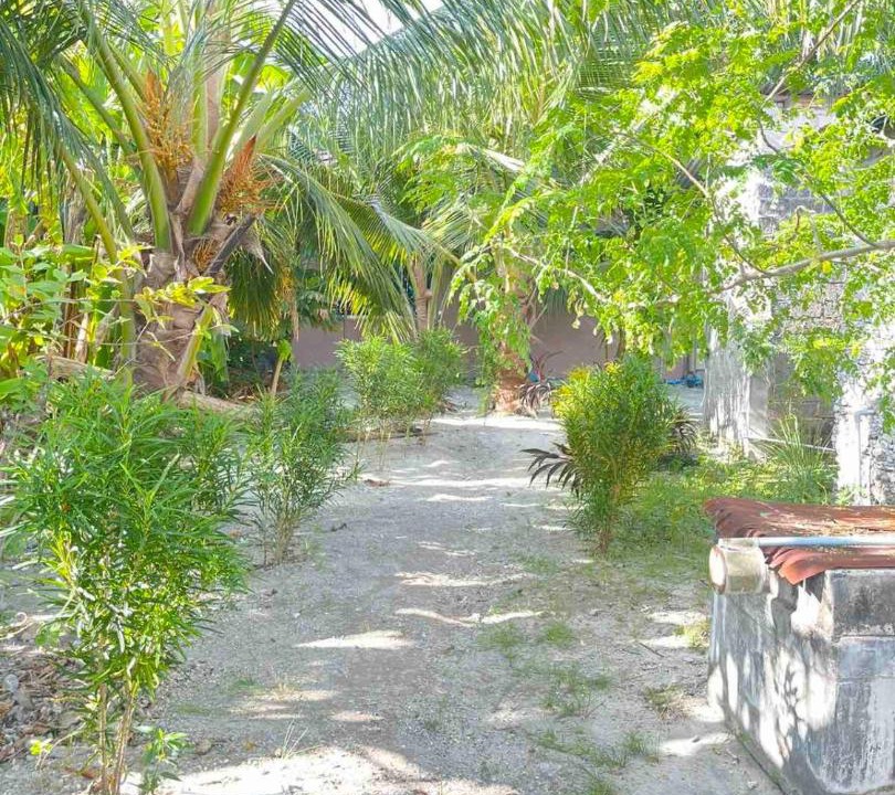 Photo of Others in Feydhoo