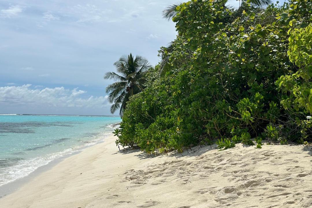 Photo of Others in Thoddoo
