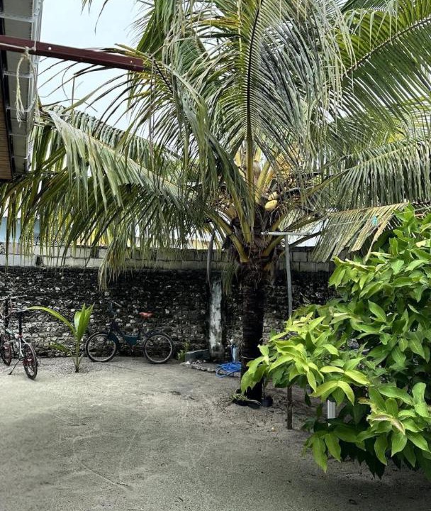 Photo of Others in Himmafushi