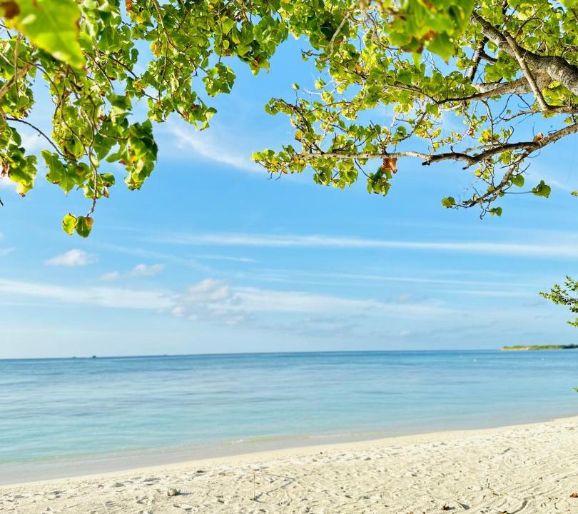 Photo of Others in Himmafushi
