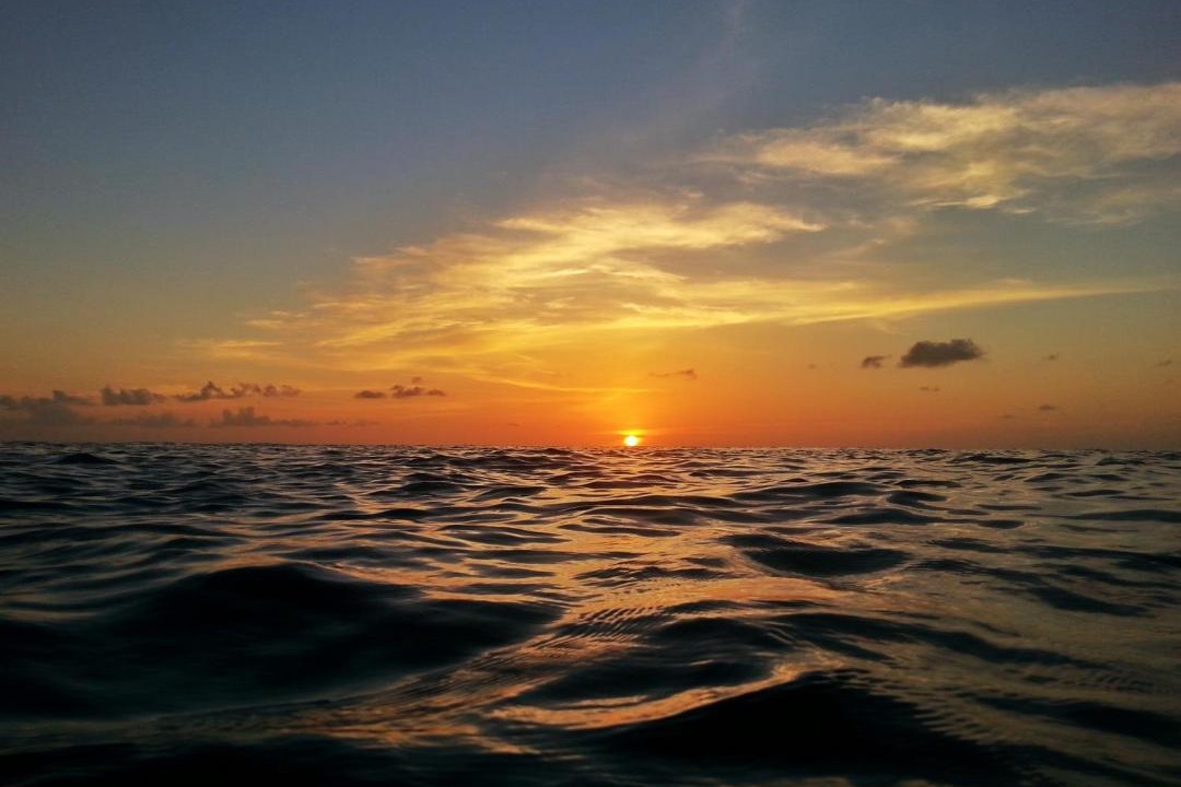 Photo of Others in Dharavandhoo