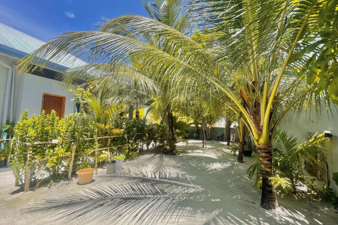 Photo of Others in Ukulhas
