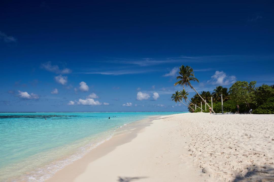 Photo of Others in Thoddoo