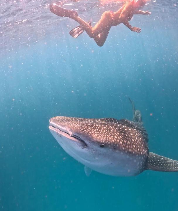 Photo of Others in Dhigurah