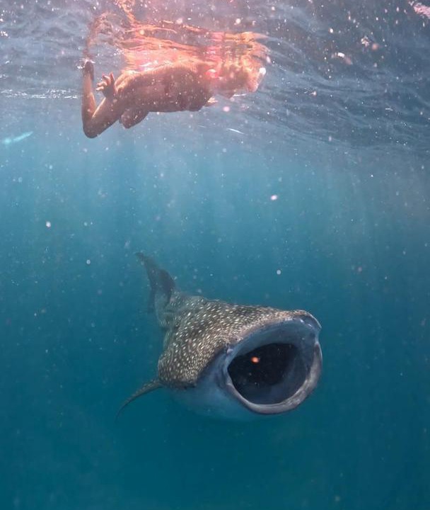 Photo of Others in Dhigurah
