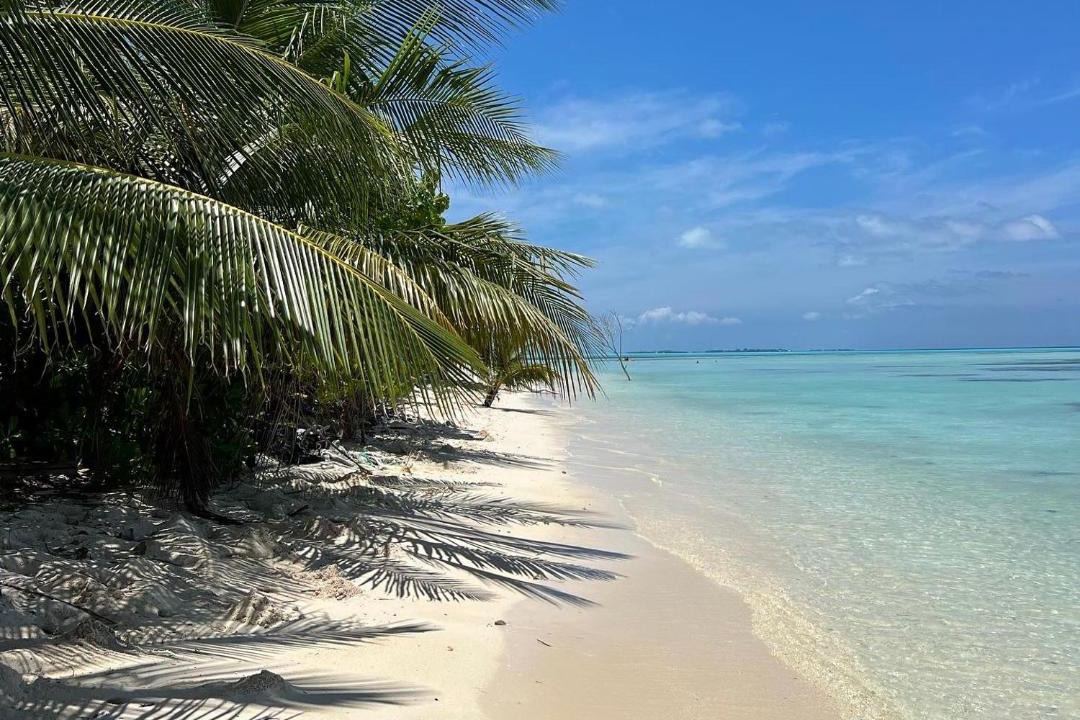 Photo of Others in Dhiffushi