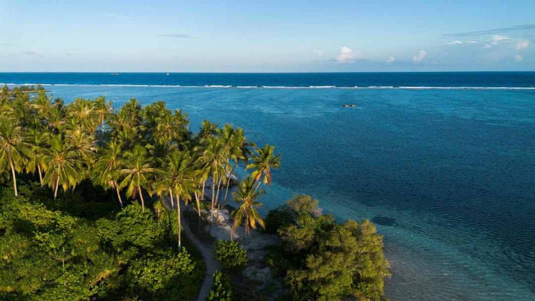 Photo of Others in Dhiffushi