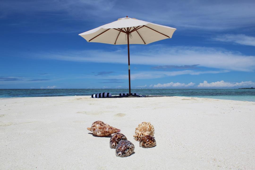 Photo of Others in Feridhoo