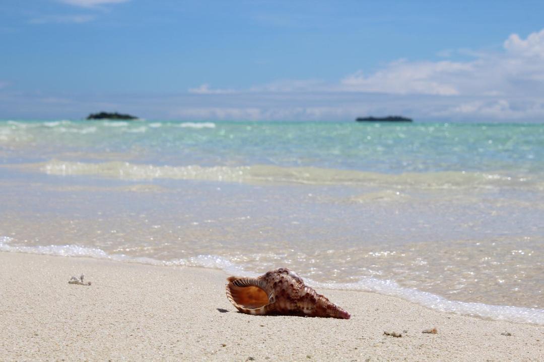Photo of Others in Feridhoo