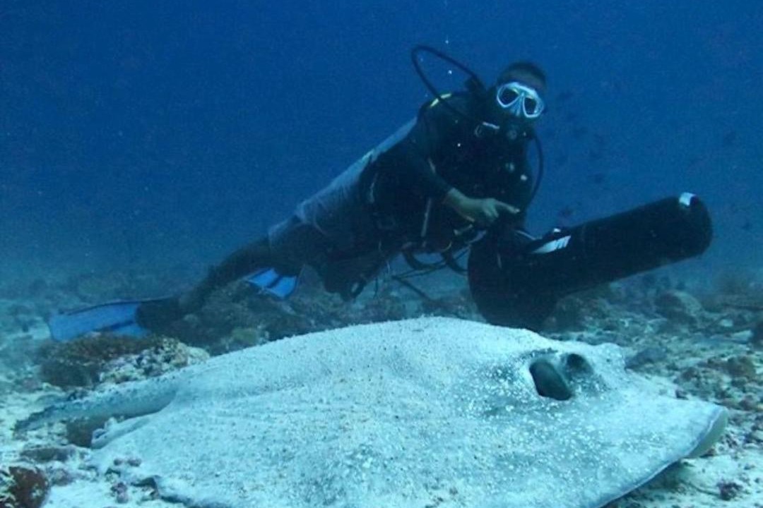 Photo of Human In Picture in Maamigili