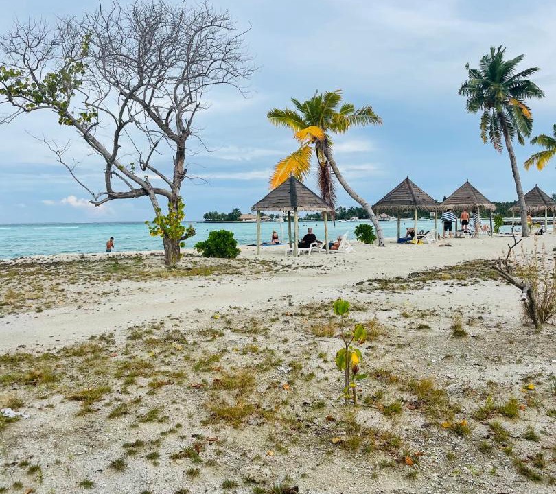 Photo of Others in Guraidhoo