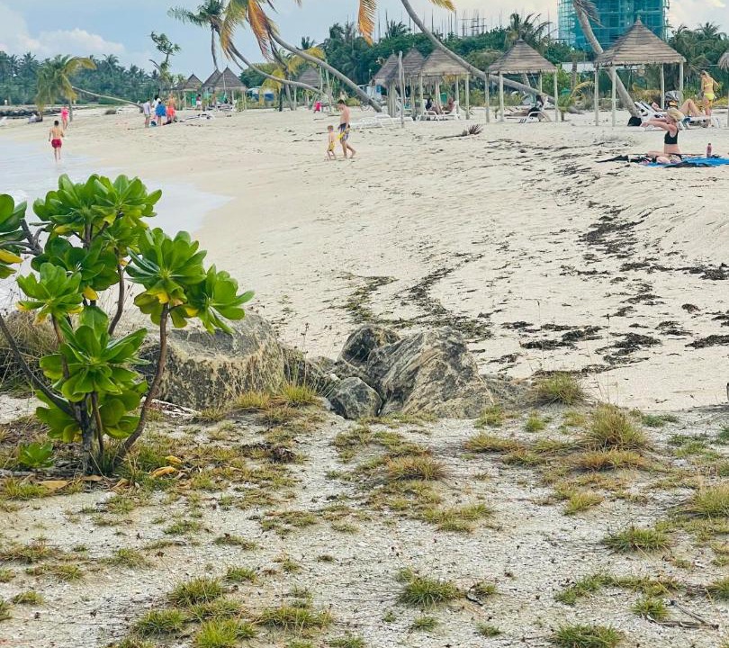 Photo of Others in Guraidhoo