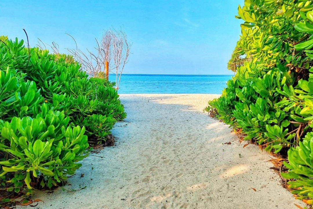 Photo of Others in Thoddoo