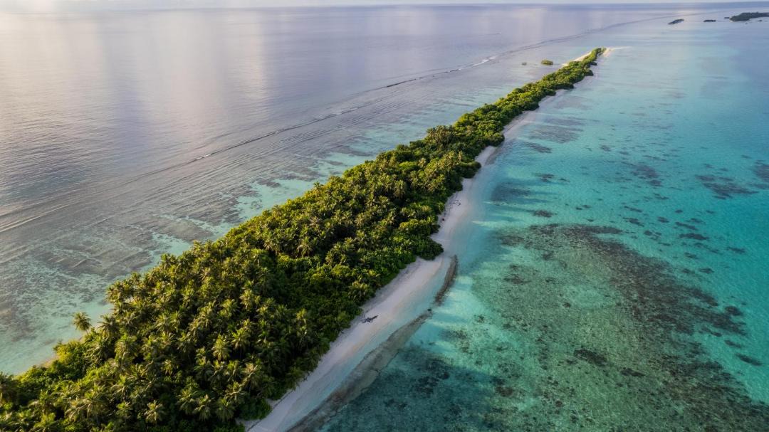 Photo of Others in Dhigurah