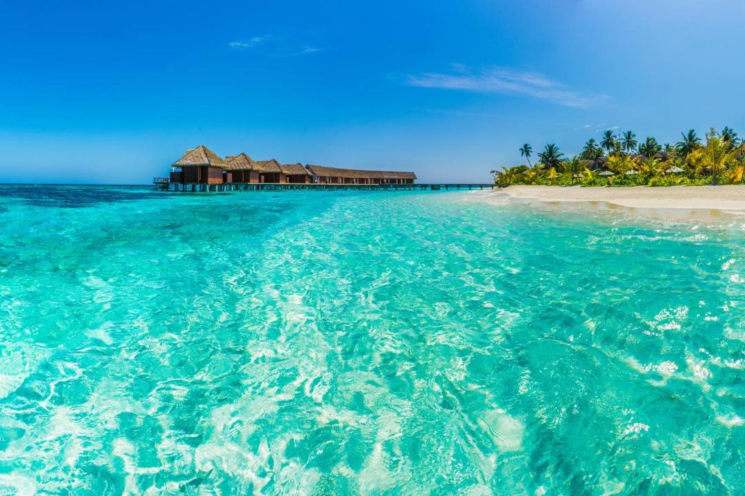 Photo of Others in Kandolhu
