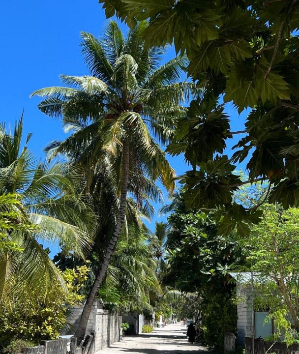 Photo of Others in Himandhoo