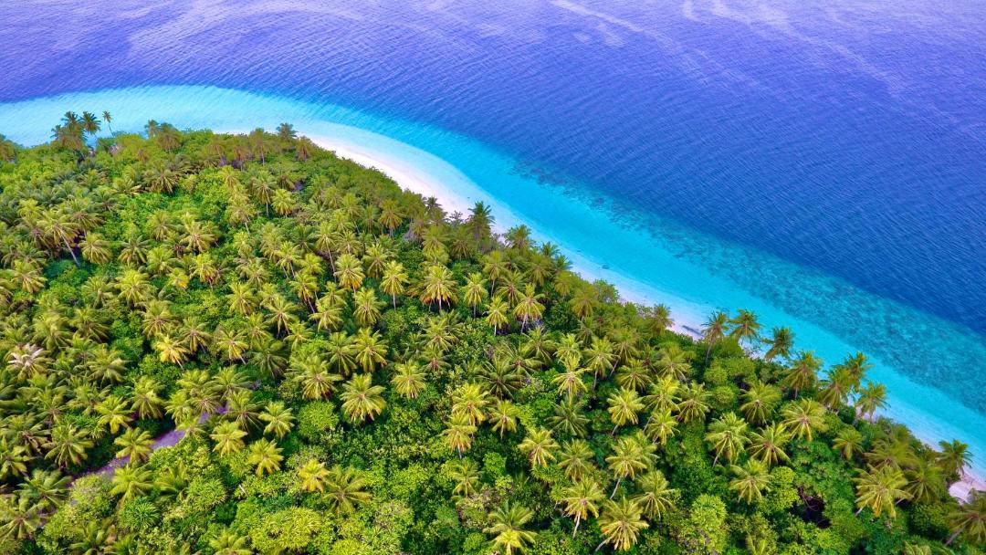 Photo of Others in Feridhoo