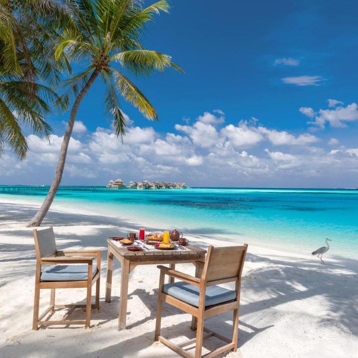 Photo of Others in Lankanfushi Island