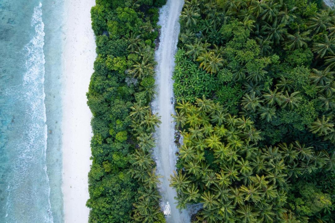 Photo of Others in Foakaidhoo