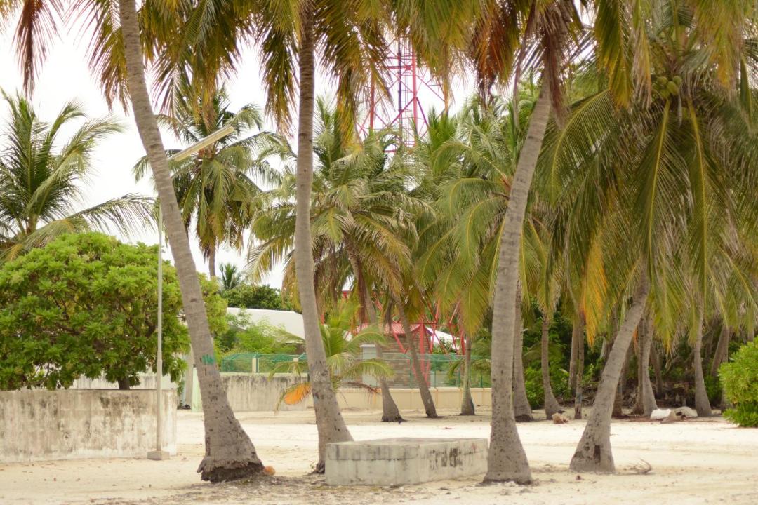 Photo of Others in Dharavandhoo