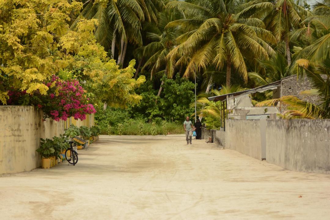 Photo of Others in Dharavandhoo