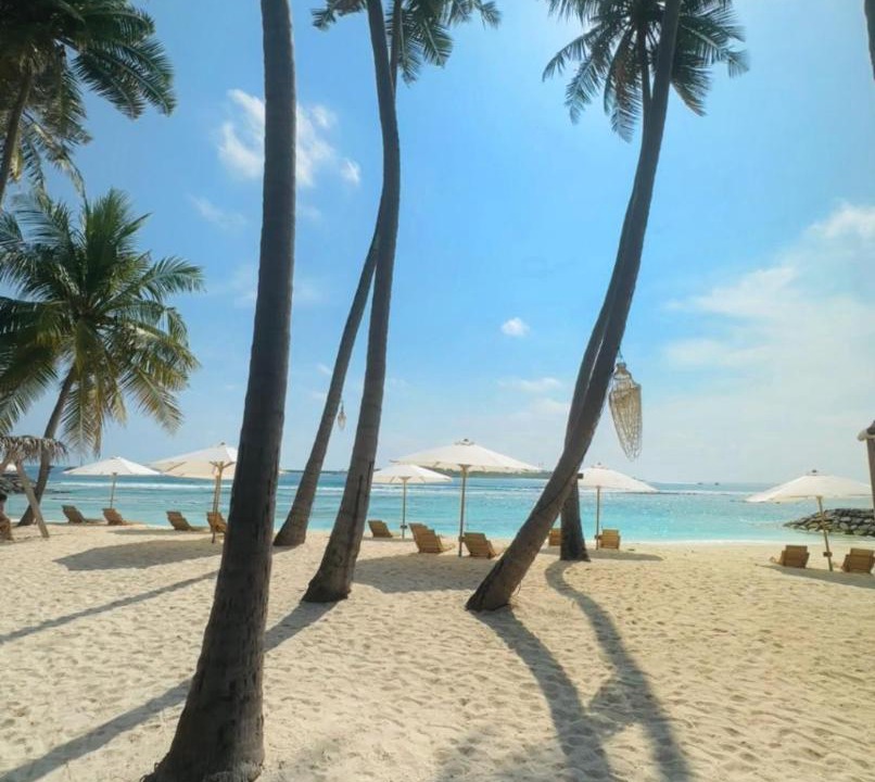 Photo of Others in Thulusdhoo Island