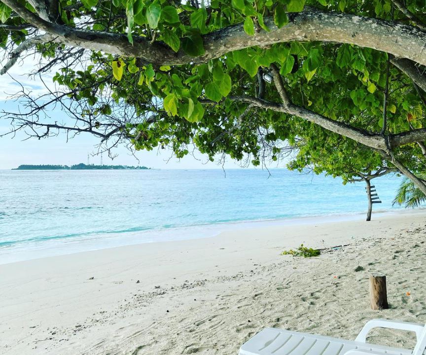 Photo of Others in Thinadhoo