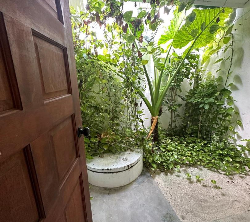 Photo of Others in Thoddoo