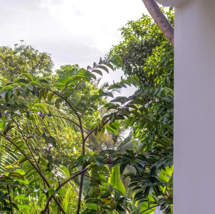 Photo of Others in Fuvahmulah
