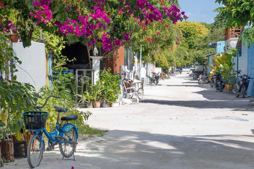 Photo of Others in Thulusdhoo Island