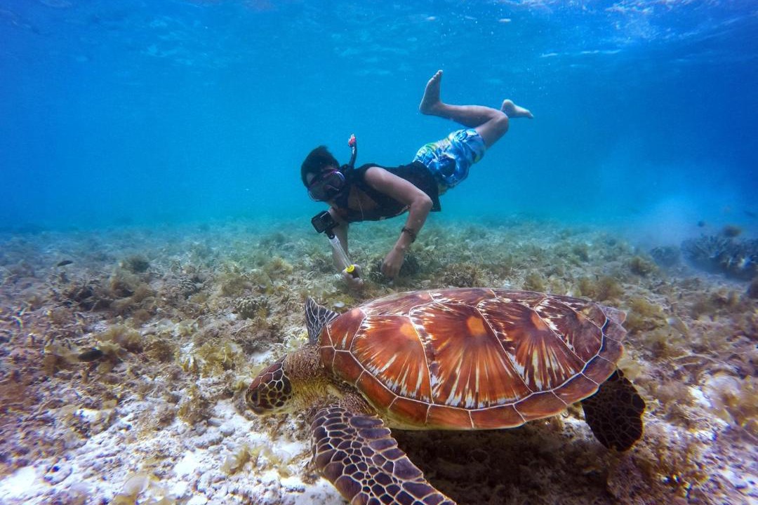 Photo of Others in Thulusdhoo Island