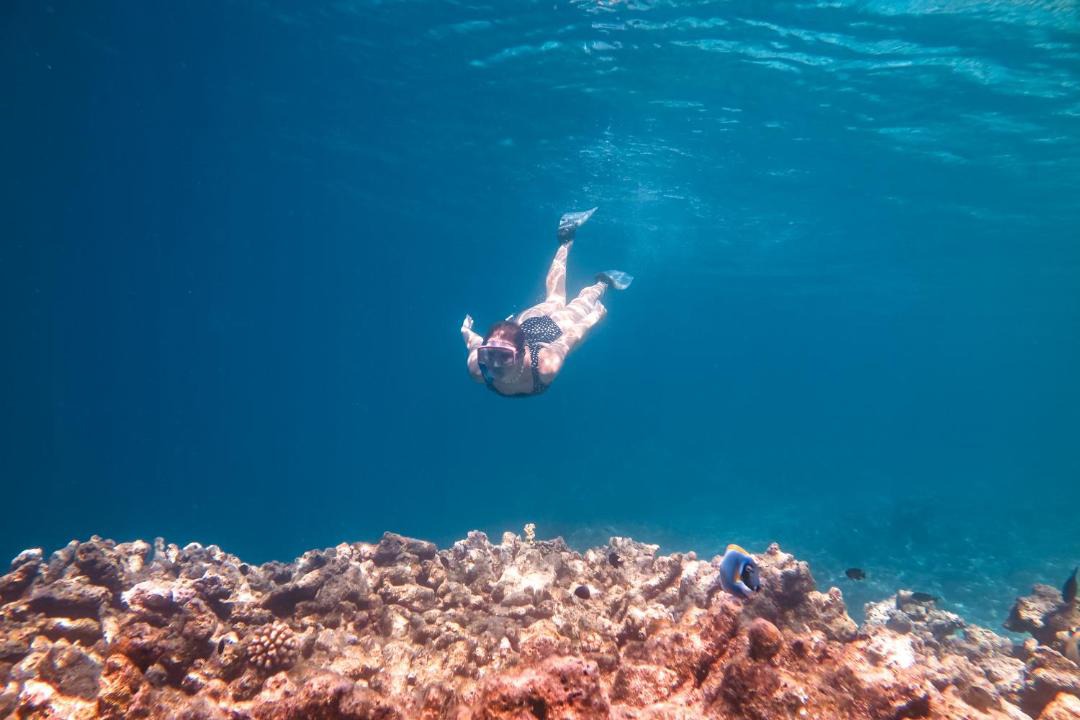 Photo of Others in Dhiffushi