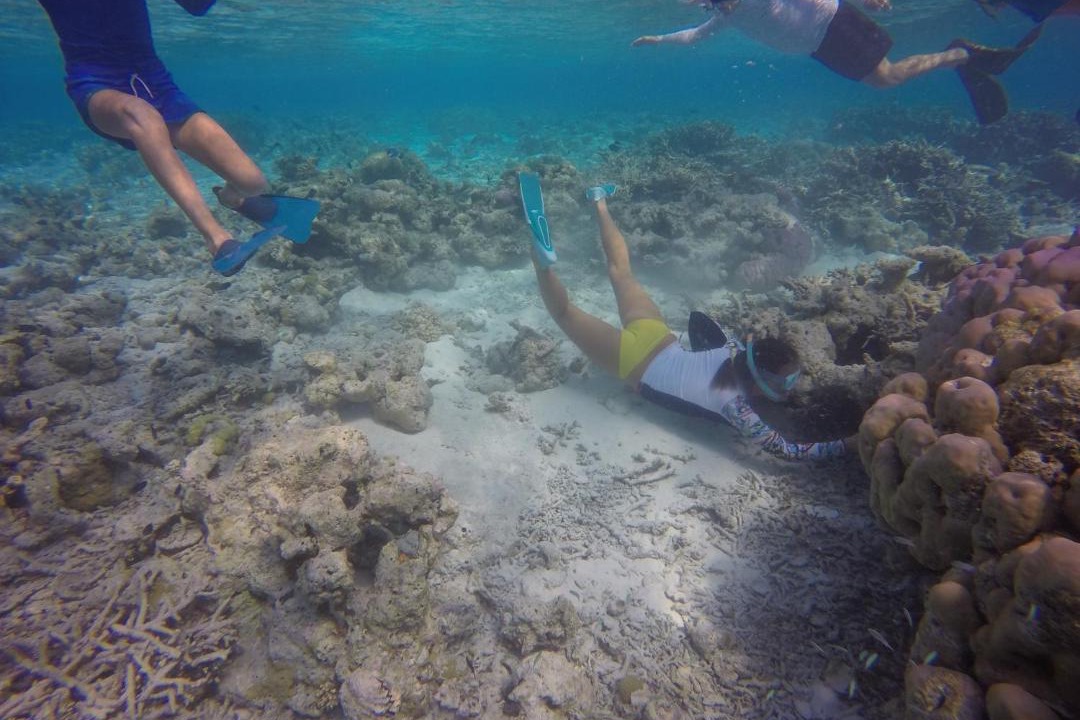 Photo of Others in Guraidhoo