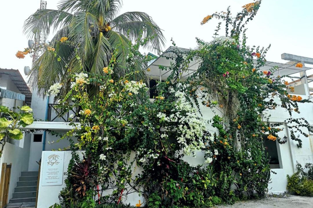 Photo of Others in Thulusdhoo Island