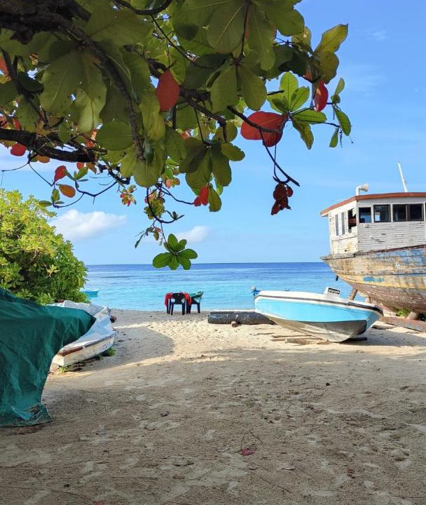 Photo of Others in Omadhoo