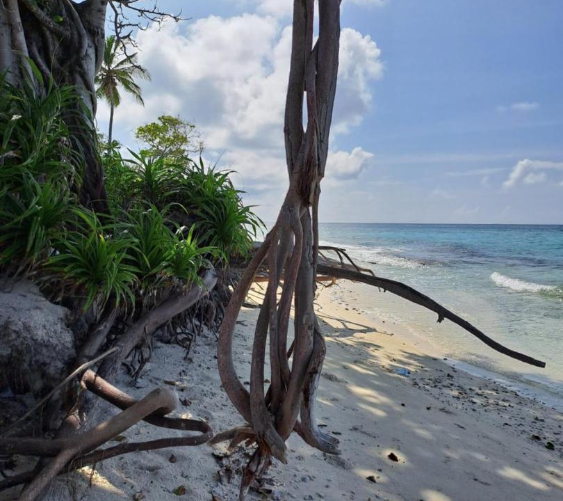Photo of Others in Thoddoo