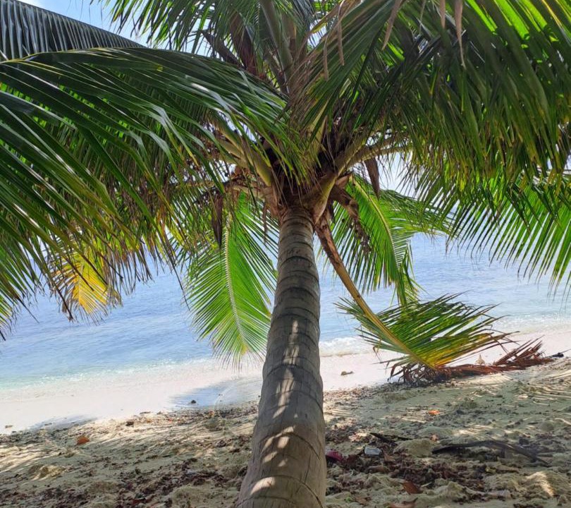 Photo of Outdoor in Thoddoo
