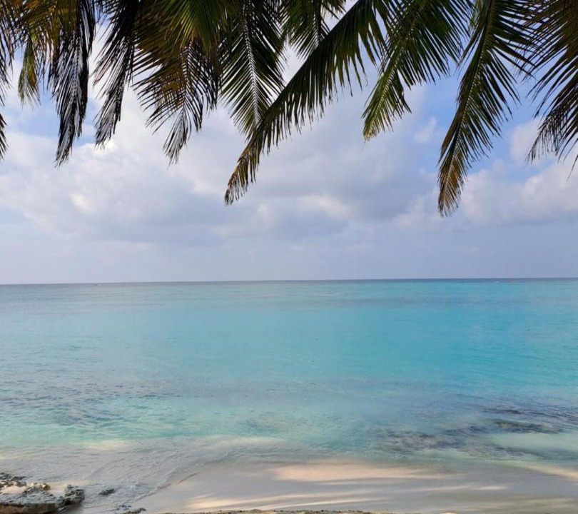 Photo of Others in Thoddoo