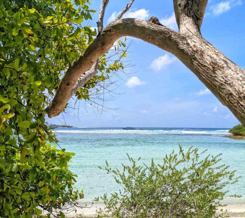 Photo of Others in Thulusdhoo Island
