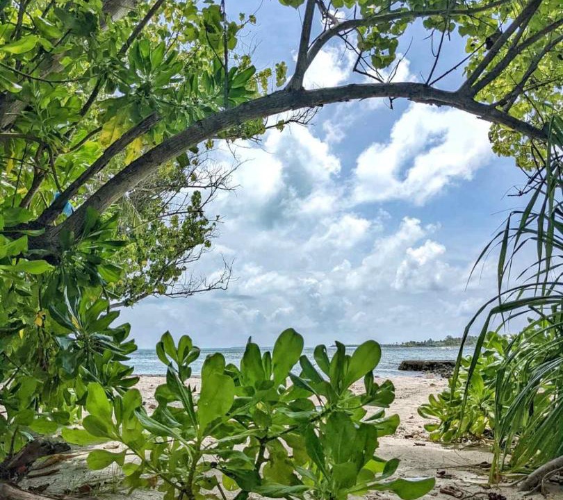 Photo of Outdoor in Thulusdhoo Island