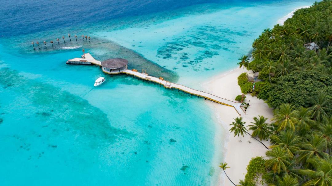 Photo of Others in Rinbudhoo