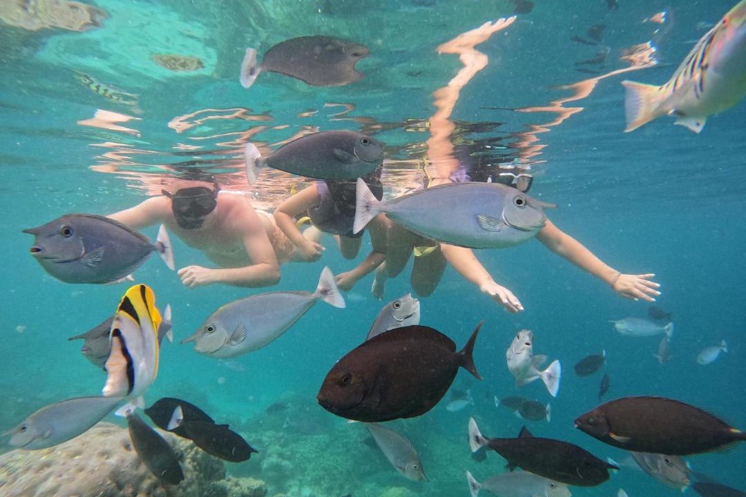 Photo of Others in Maafushi